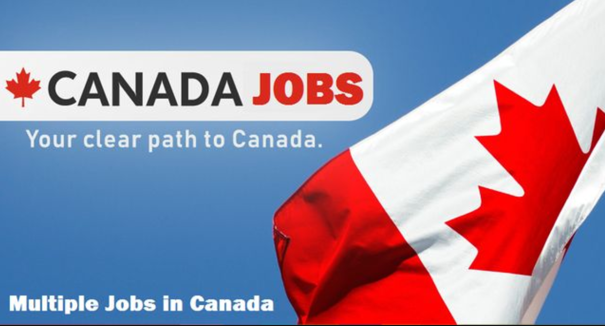 Multiple Job Openings in Canada 2021 - PK Job Search